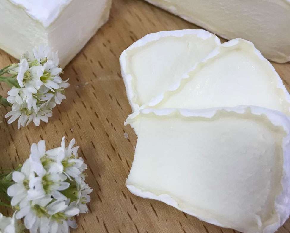 Сыр Шаурс, Сыроделкино / Syrodelkino Chaource cheese