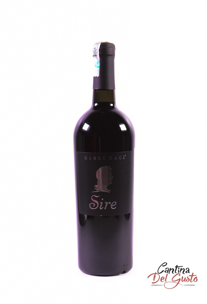 Красное сухое вино Marco Maci Sire Salento Primitivo 2011